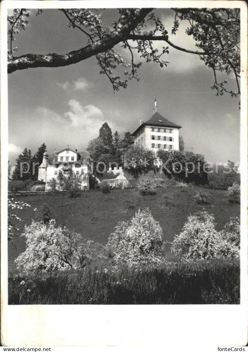 11647833 Gelfingen Schloss Heidegg Kapelle Herrenhaus Gelfingen - Other & Unclassified