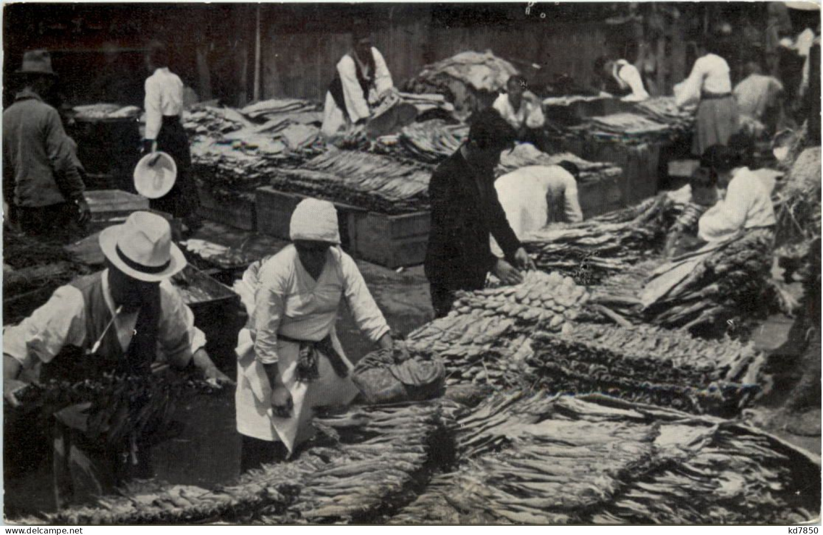 Asia - Market Dried Fish - Andere & Zonder Classificatie