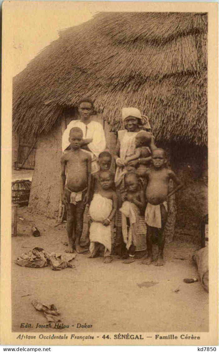 Senegal - Famille Cerere - Sénégal