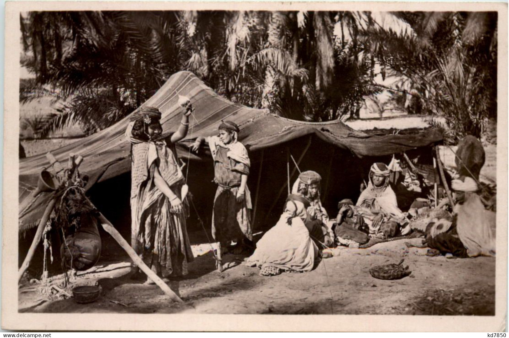 Alger - Campement De Nomades - Scènes & Types