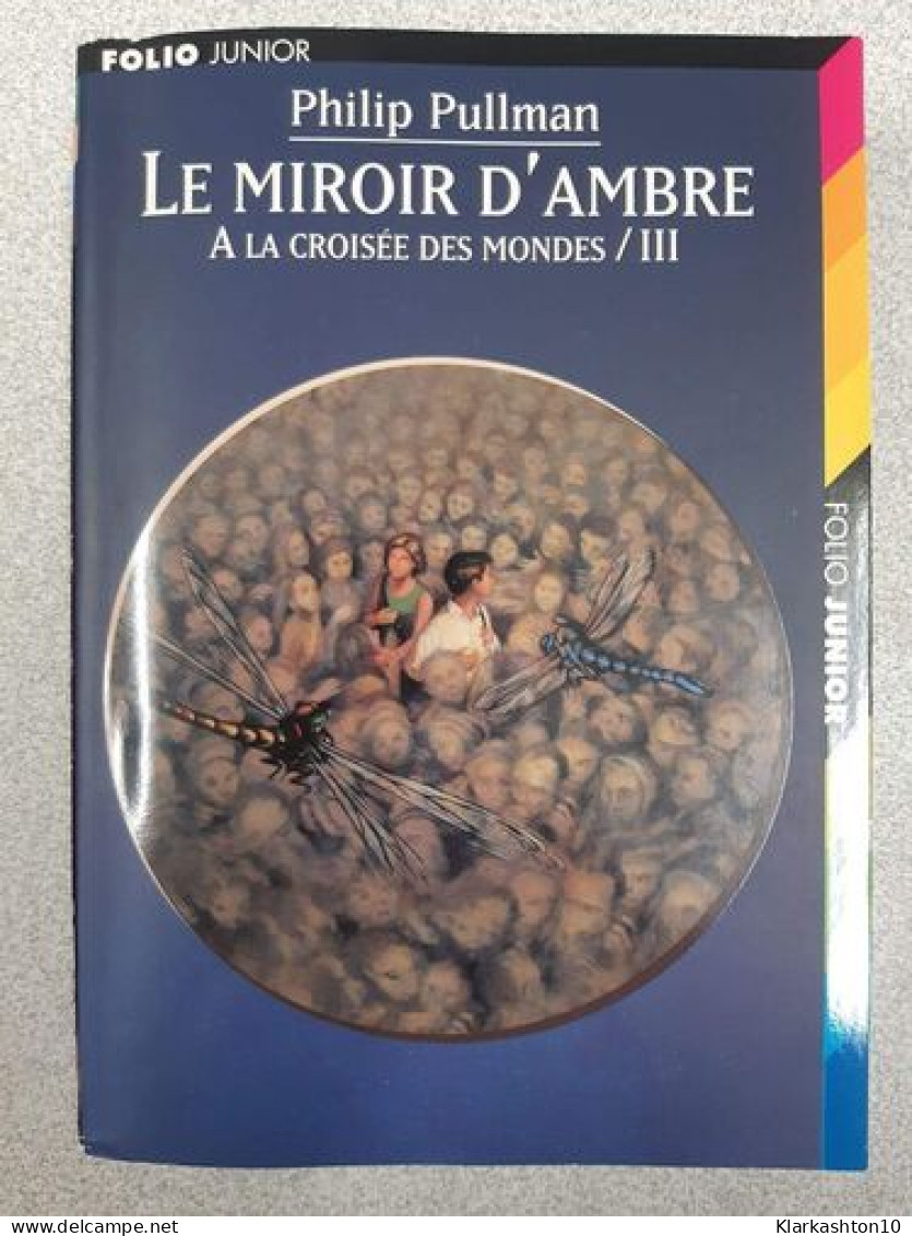 Le Miroir D'ambre A La Croisée Des Monde Lll - Sonstige & Ohne Zuordnung