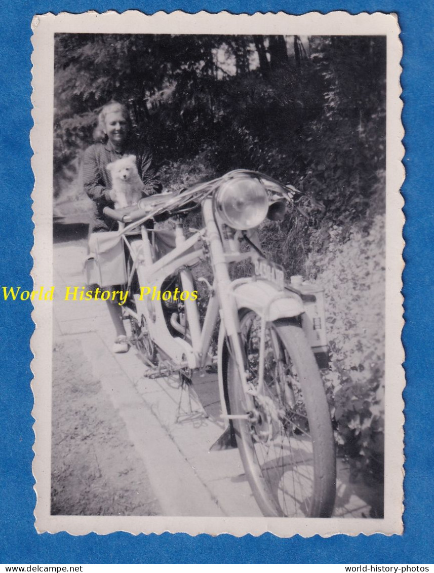 Photo Ancienne Snapshot - Beau Portrait , Femme & Son Petit Chien Derriere Une Belle Moto à Identifier - Animal Mignon - Automobile