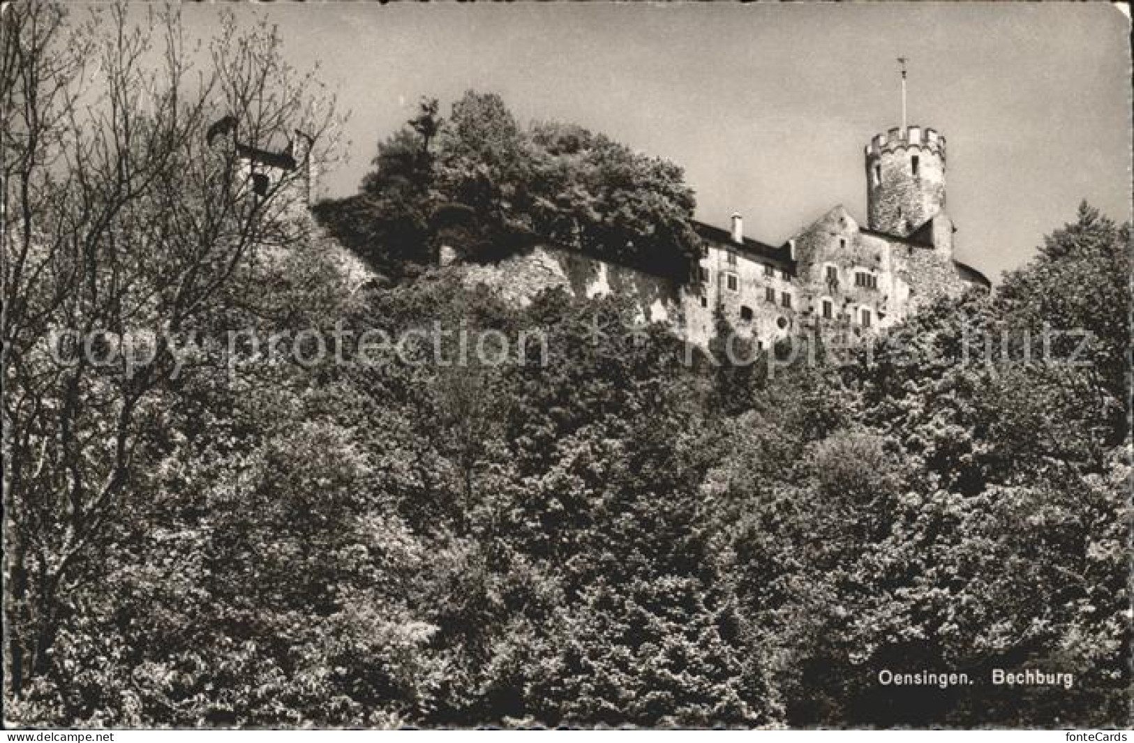 11647239 Oensingen Bechburg Oensingen - Autres & Non Classés