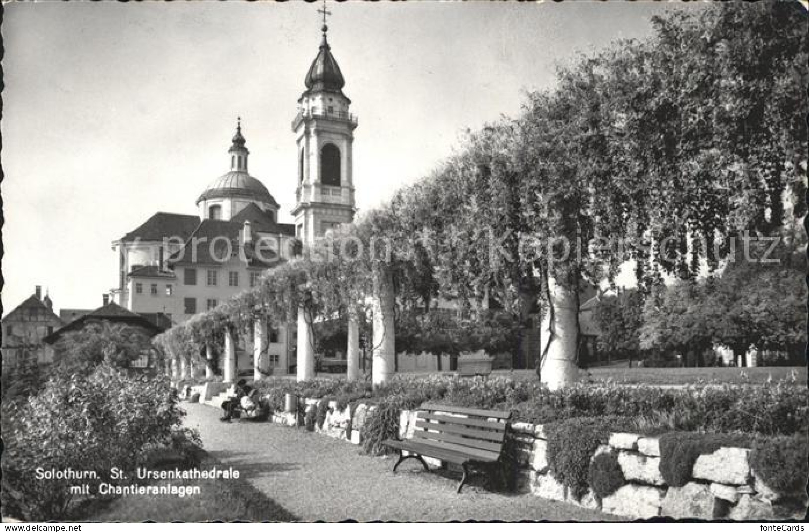 11647070 Solothurn St. Ursenkathedrale Mit Chantieranlagen Park Solothurn - Autres & Non Classés