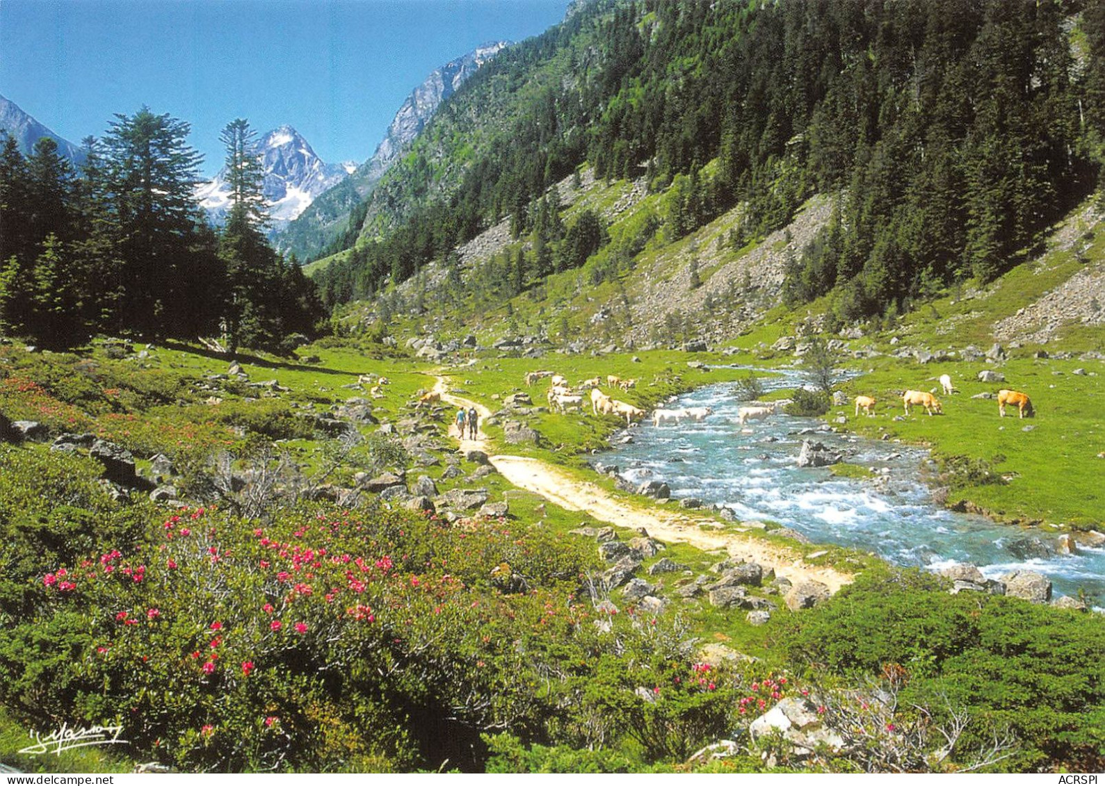 65 CAUTERETS Vallée Du Lutour (Scan R/V) N° 10 \MS9004 - Cauterets