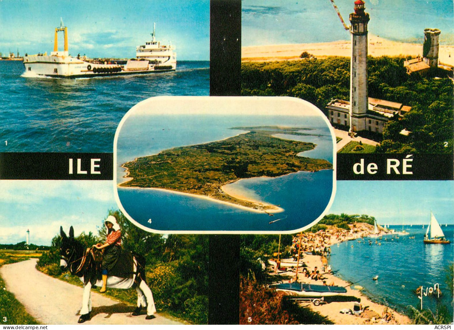 17 île De Ré Divers Vues âne Bac Phare Et Plage (Scan R/V) N° 35 \MS9018 - Ile De Ré