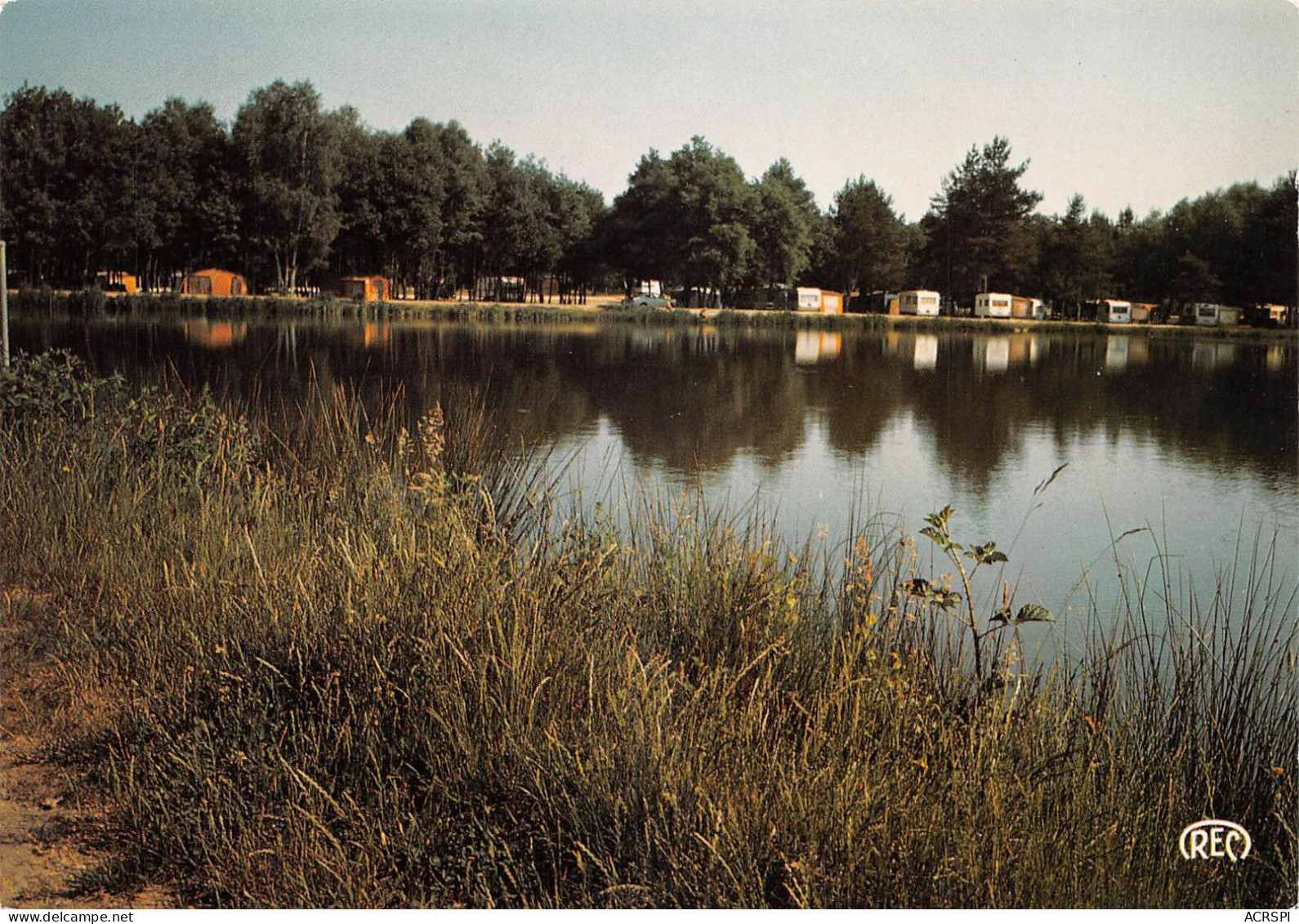 18 NEUVY-SUR-BARANGEON Camping Au Bord De L'étang De La Noue Carte Vierge Non Circulé (Scan R/V) N° 26 \MS9016 - Argent-sur-Sauldre