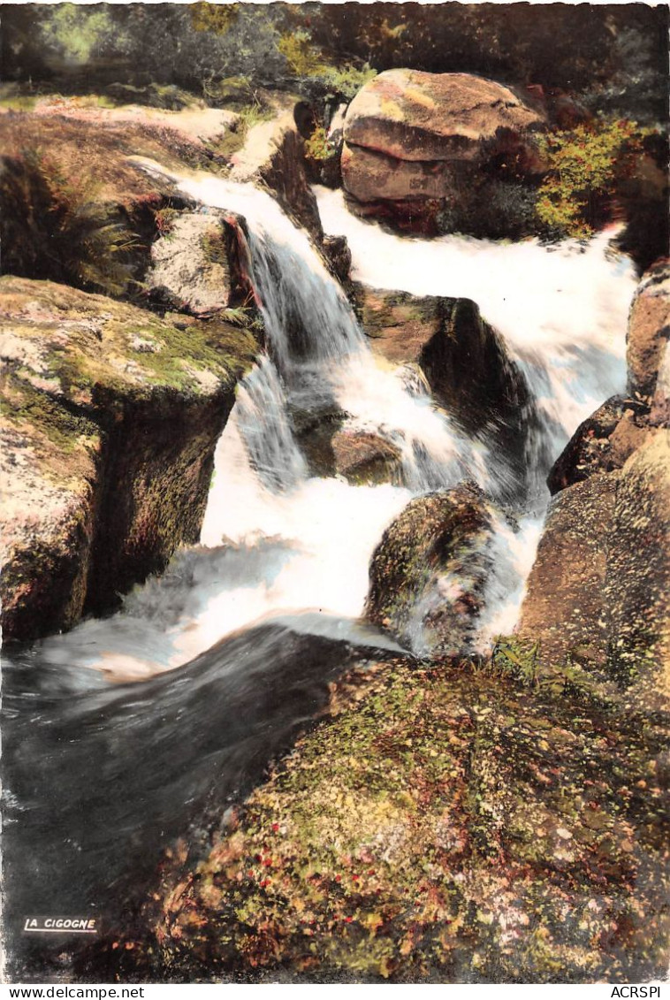 23 BOURGANEUF Cascade Des Jarreaux Cp Vierge Non Circulé éd La Cigogne (Scan R/V) N° 28 \MS9015 - Bourganeuf