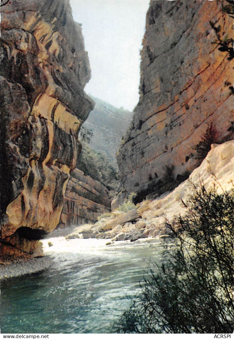 04 Gorges Du Verdon Greoux Les Bains (Scan R/V) N° 43 \MS9013 - Gréoux-les-Bains