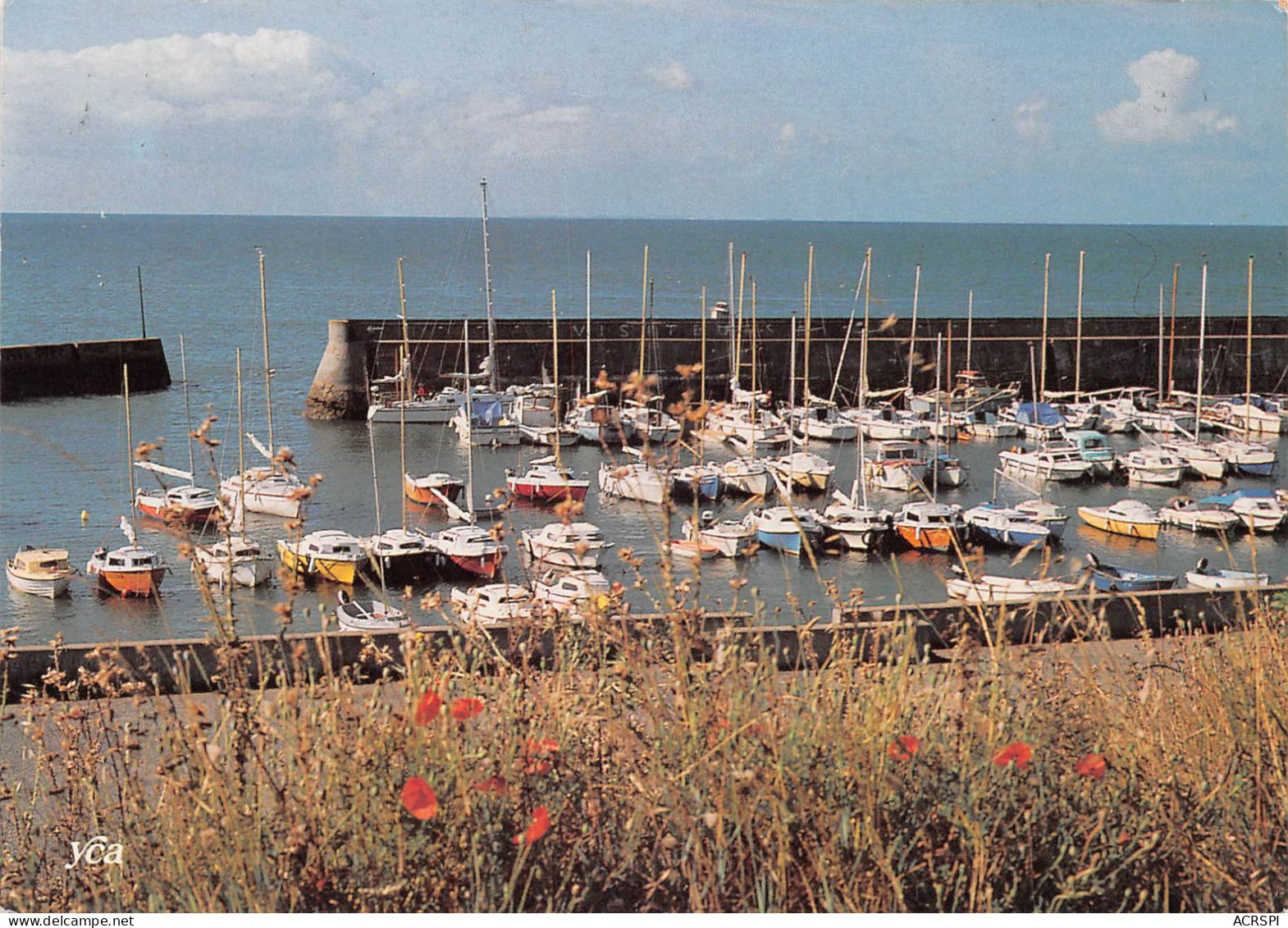 56 Saint-Gildas-de-Rhuys Le Port (Scan R/V) N° 36 \MS9029 - Sarzeau