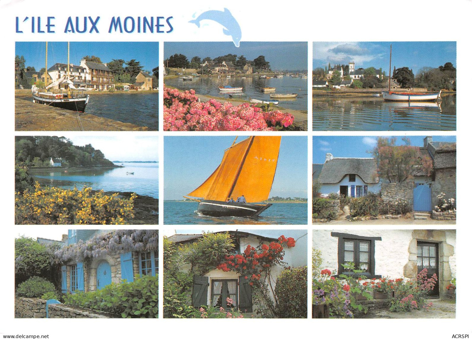 56 L'île Aux Moines Les Sites Touristiques (Scan R/V) N° 41 \MS9023 - Ile Aux Moines