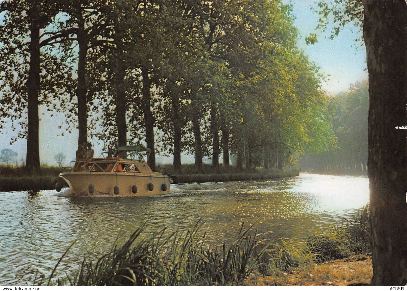 34 Le Canal Du Midi BEZIERS SETE (Scan R/V) N° 41 \MS9036 - Beziers