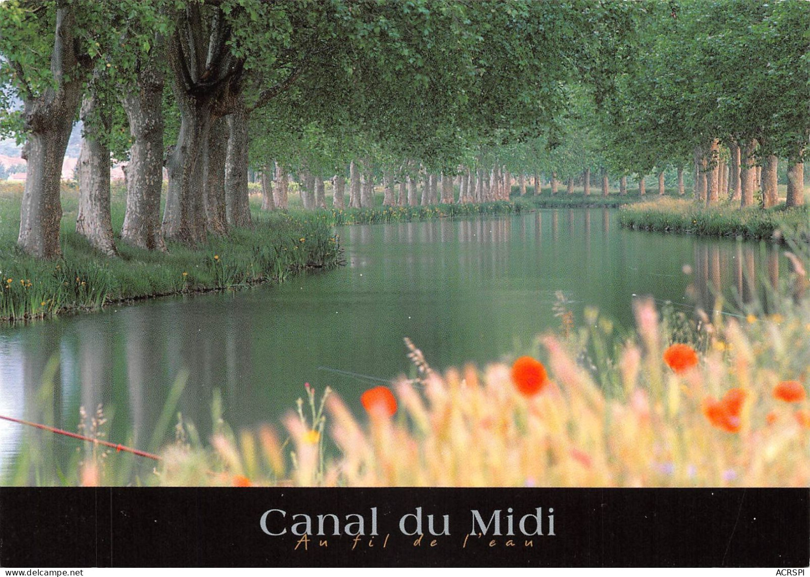 11 De Toulouse à SETE Canal Du Midi (Scan R/V) N° 33 \MS9036 - Conques Sur Orbiel