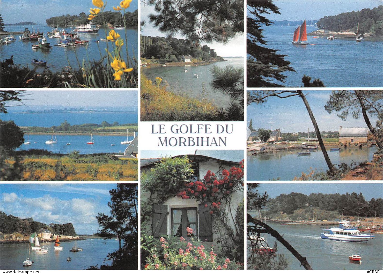 56 Golfe Du Morbihan Larmor ARZ Arradon Conleau Navalo Locmariaquer Séné Port-Anna (Scan R/V) N° 9 \MS9036 - Vannes