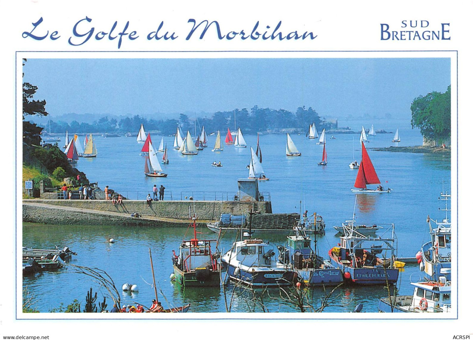 56 Vannes Séné Golfe Du Morbihan Rassemblement De Vieux Gréements (Scan R/V) N° 4 \MS9036 - Vannes