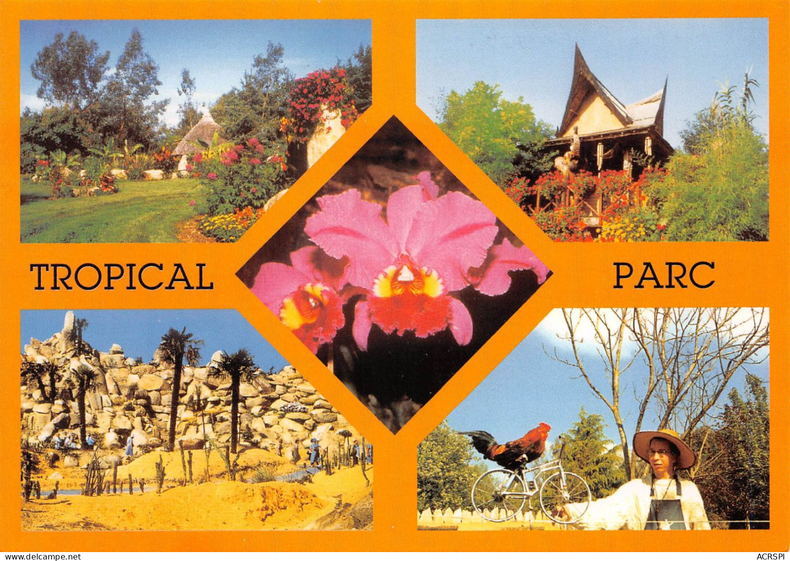 56 Saint-Jacut-les-Pins LAUGAREL Tropical Floral Parc (Scan R/V) N° 15 \MS9035 - Rochefort En Terre