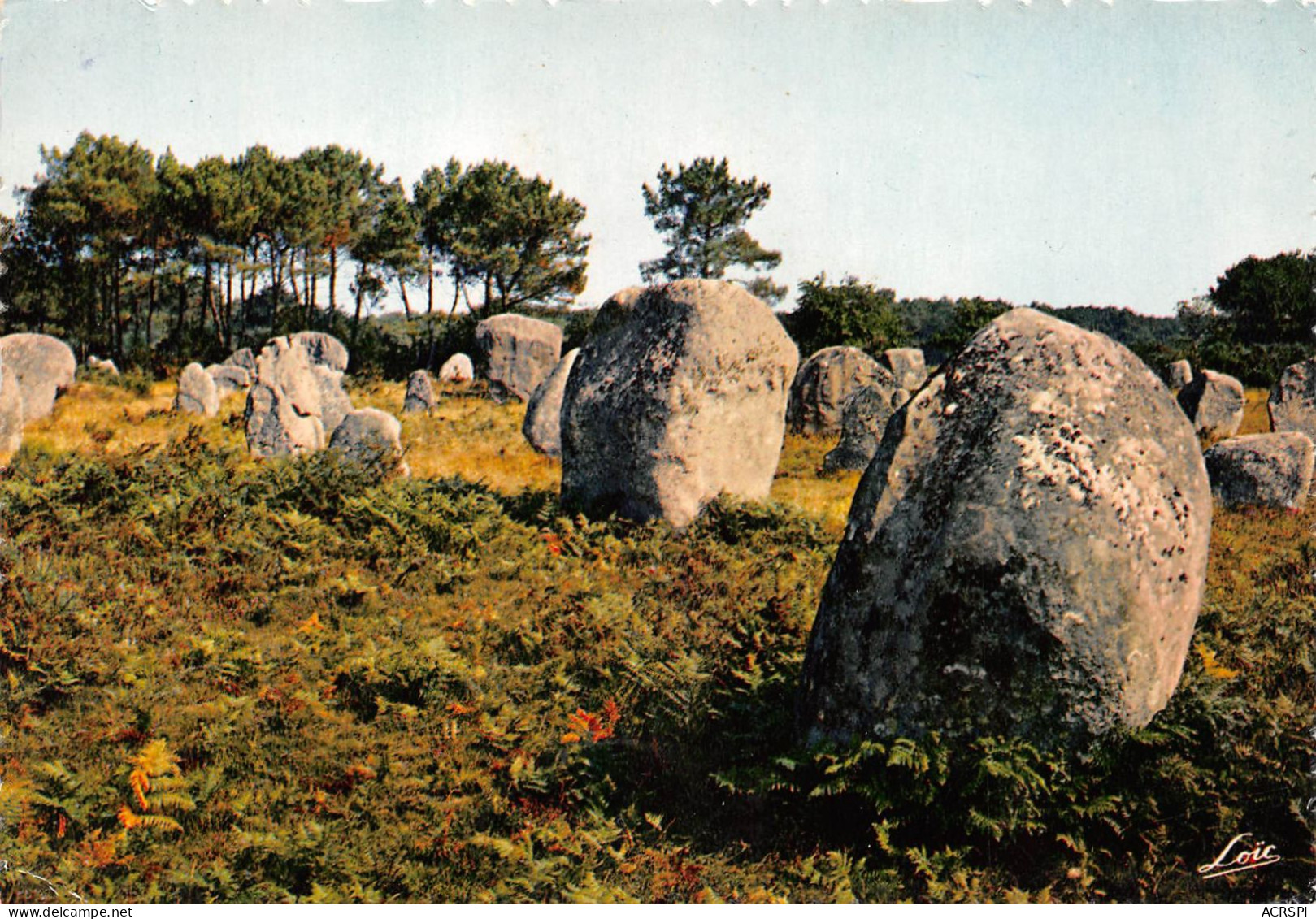 56 CARNAC Menhirs De KERLESCANT (Scan R/V) N° 20 \MS9032 - Carnac