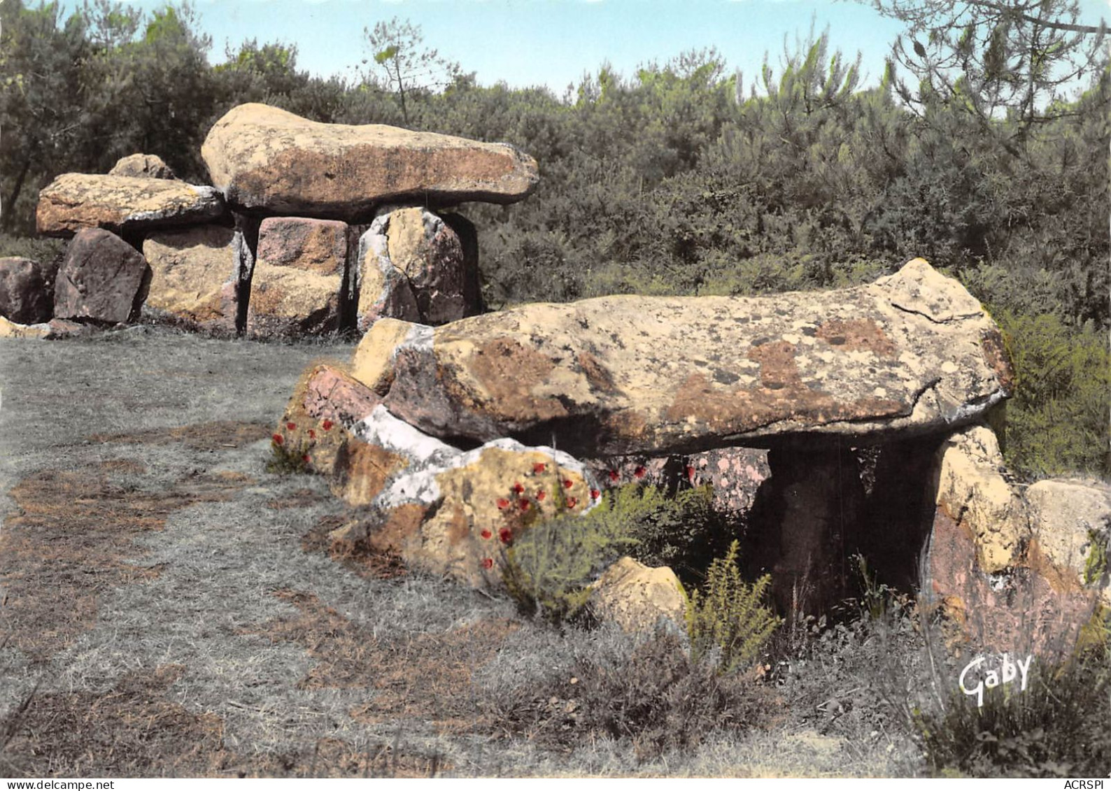 56 CARNAC Dolmens Du Mané-Kerioned (Scan R/V) N° 19 \MS9032 - Carnac