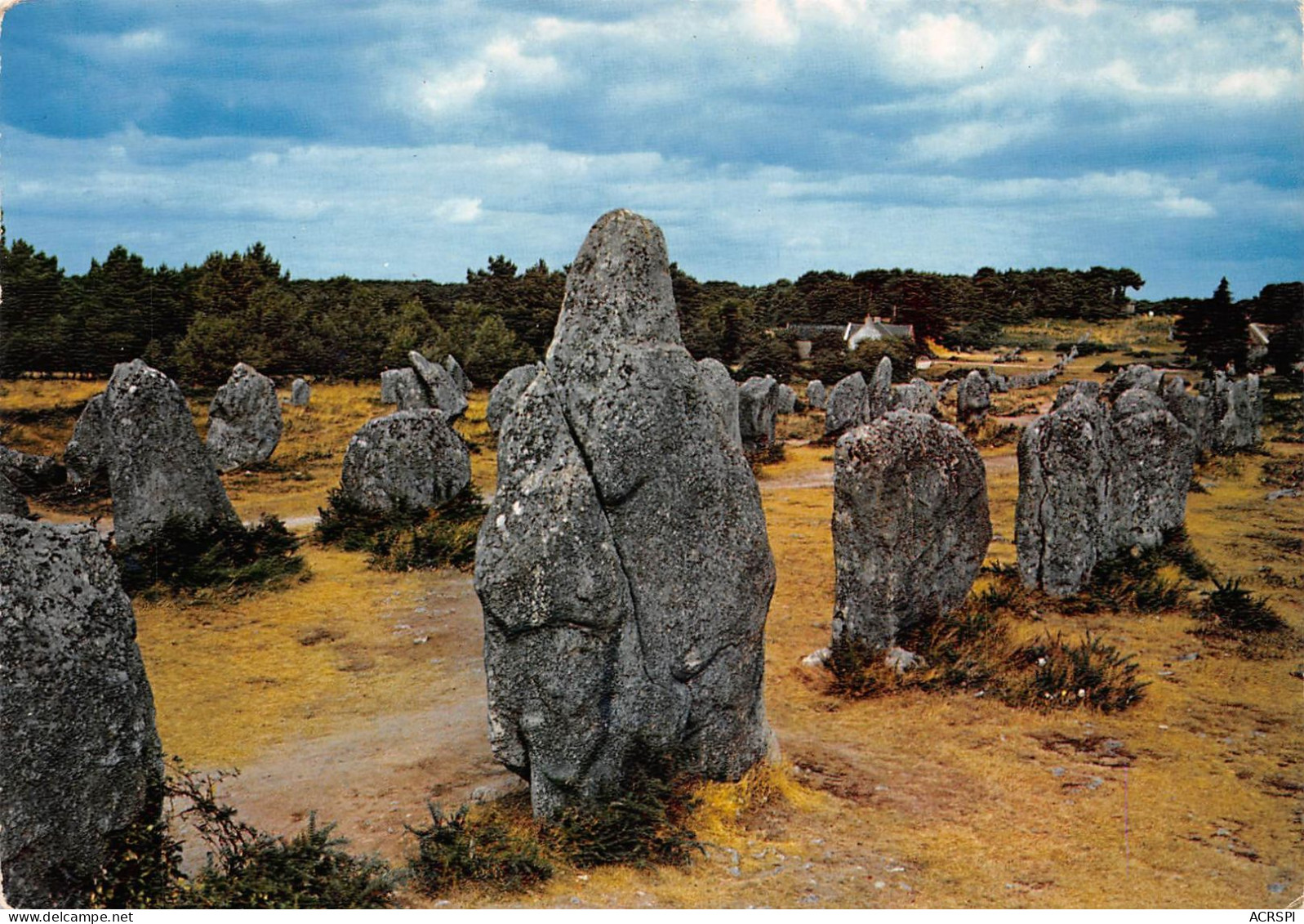 56 CARNAC Les Menhirs De KERMARIO (Scan R/V) N° 10 \MS9032 - Carnac