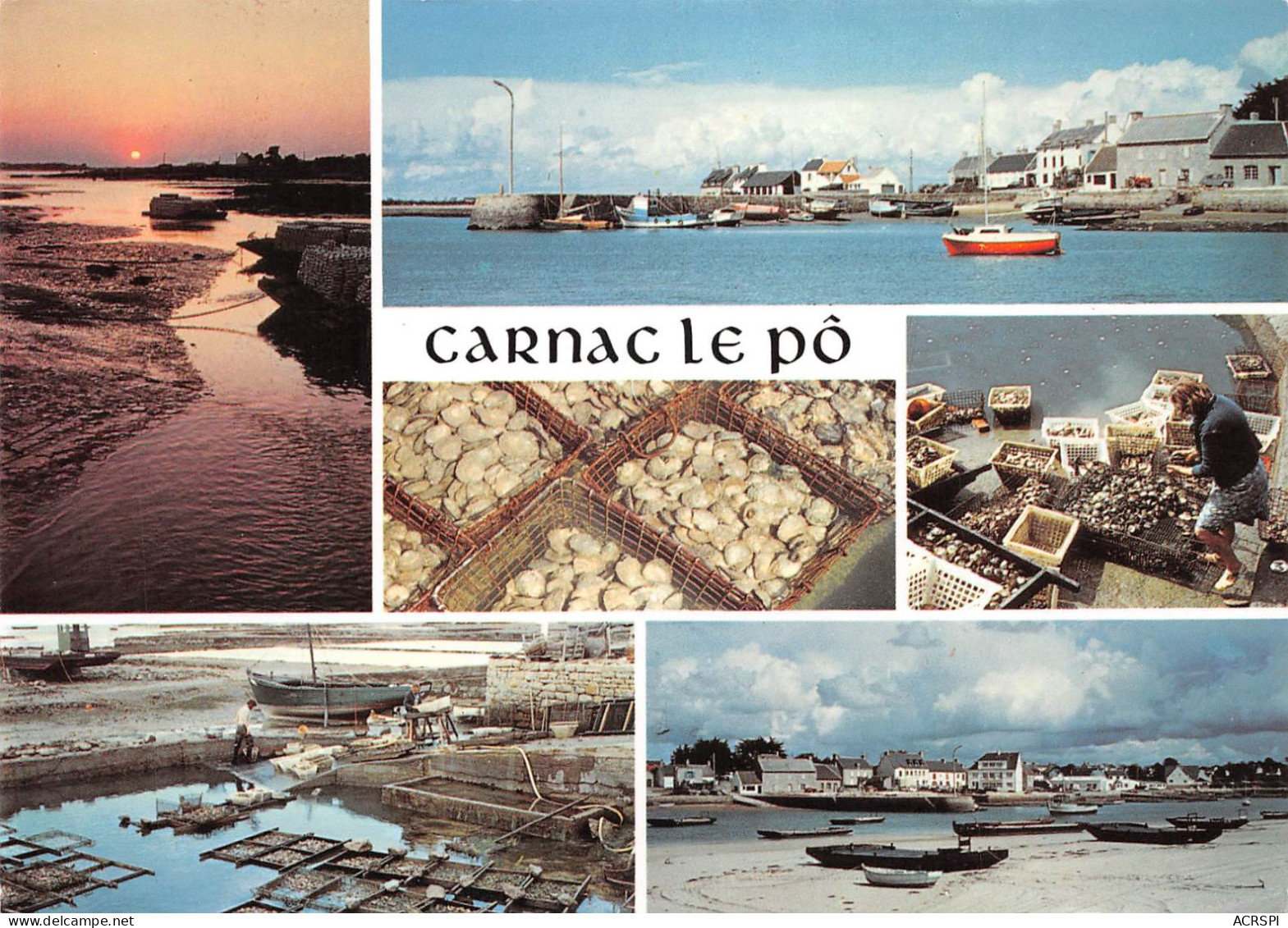 56 CARNAC LE-PÔ Centre D'Ostreiculture Porh-en-Iliz Porh-St-Guenhael (Scan R/V) N° 49 \MS9031 - Carnac