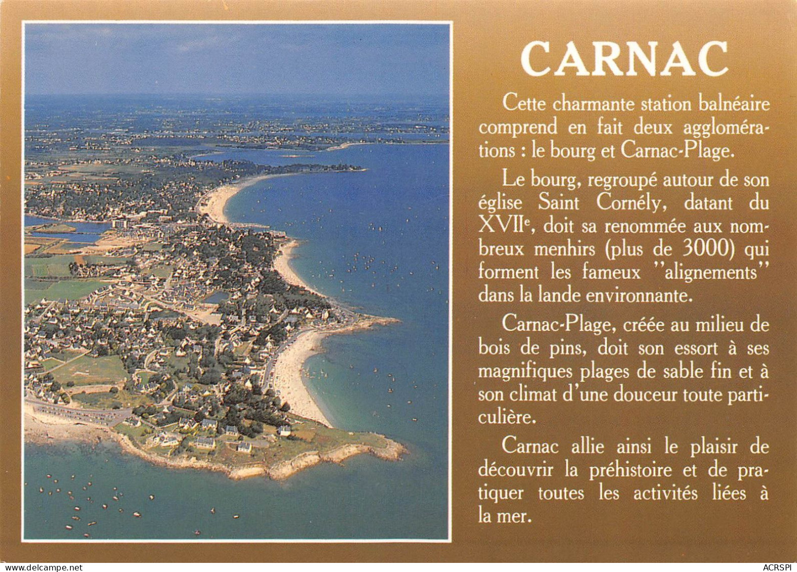 56 CARNAC La Corniche Et Les Plages (Scan R/V) N° 15 \MS9031 - Carnac