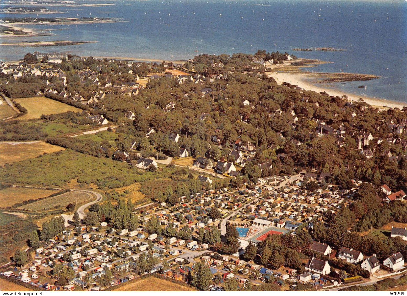 56 CARNAC Camping Des Menhirs Allée St Michel édition Jack (Scan R/V) N° 14 \MS9031 - Carnac