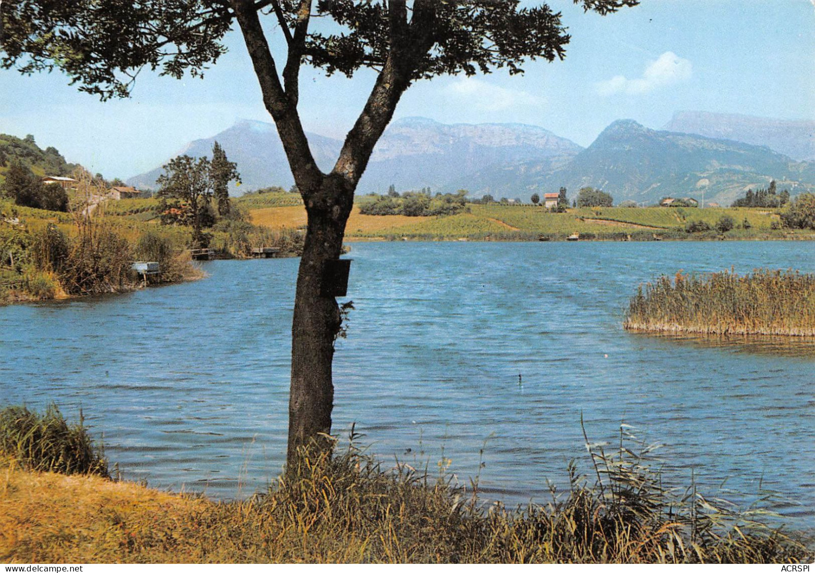 73 LES MARCHES Lac Saint-André Et Nivolet (Scan R/V) N° 15 \MS9046 - Le Bourget Du Lac