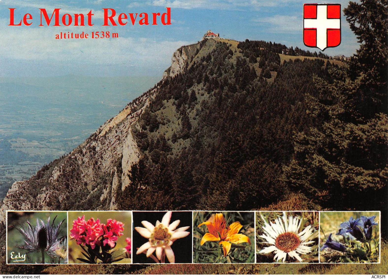 73 Saint-François-de-Sales Le Mont REVARD (Scan R/V) N° 5 \MS9046 - Le Bourget Du Lac
