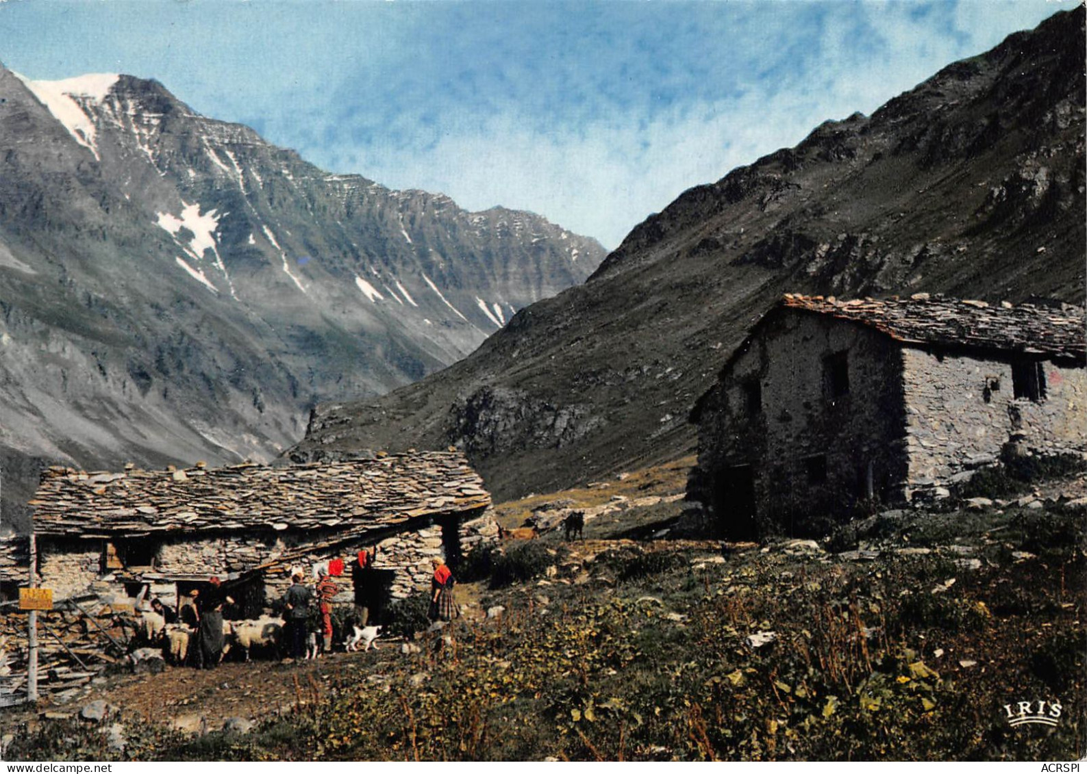 73 Pralognan-la-Vanoise La Grande-Casse Alpage De Haute Montagne (Scan R/V) N° 36 \MS9042 - Pralognan-la-Vanoise