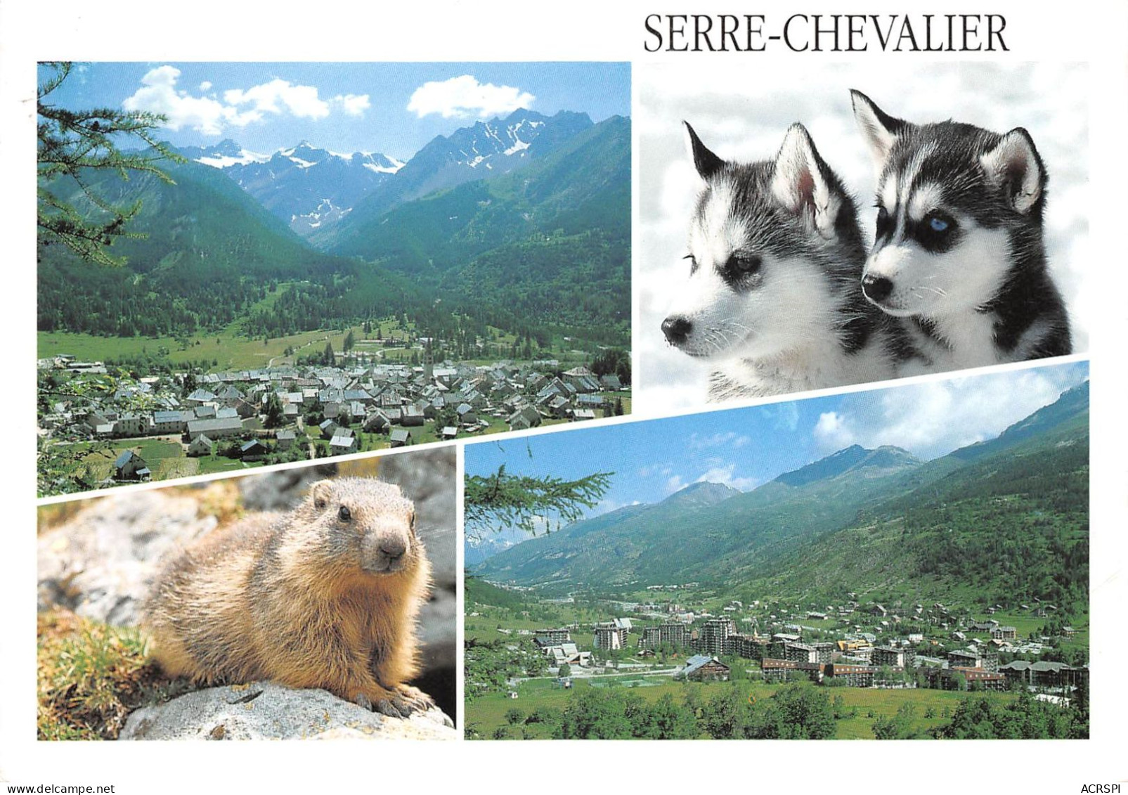 05 SERRE-CHEVALIER Villeneuve Et Monetier (Scan R/V) N° 47 \MS9055 - Serre Chevalier