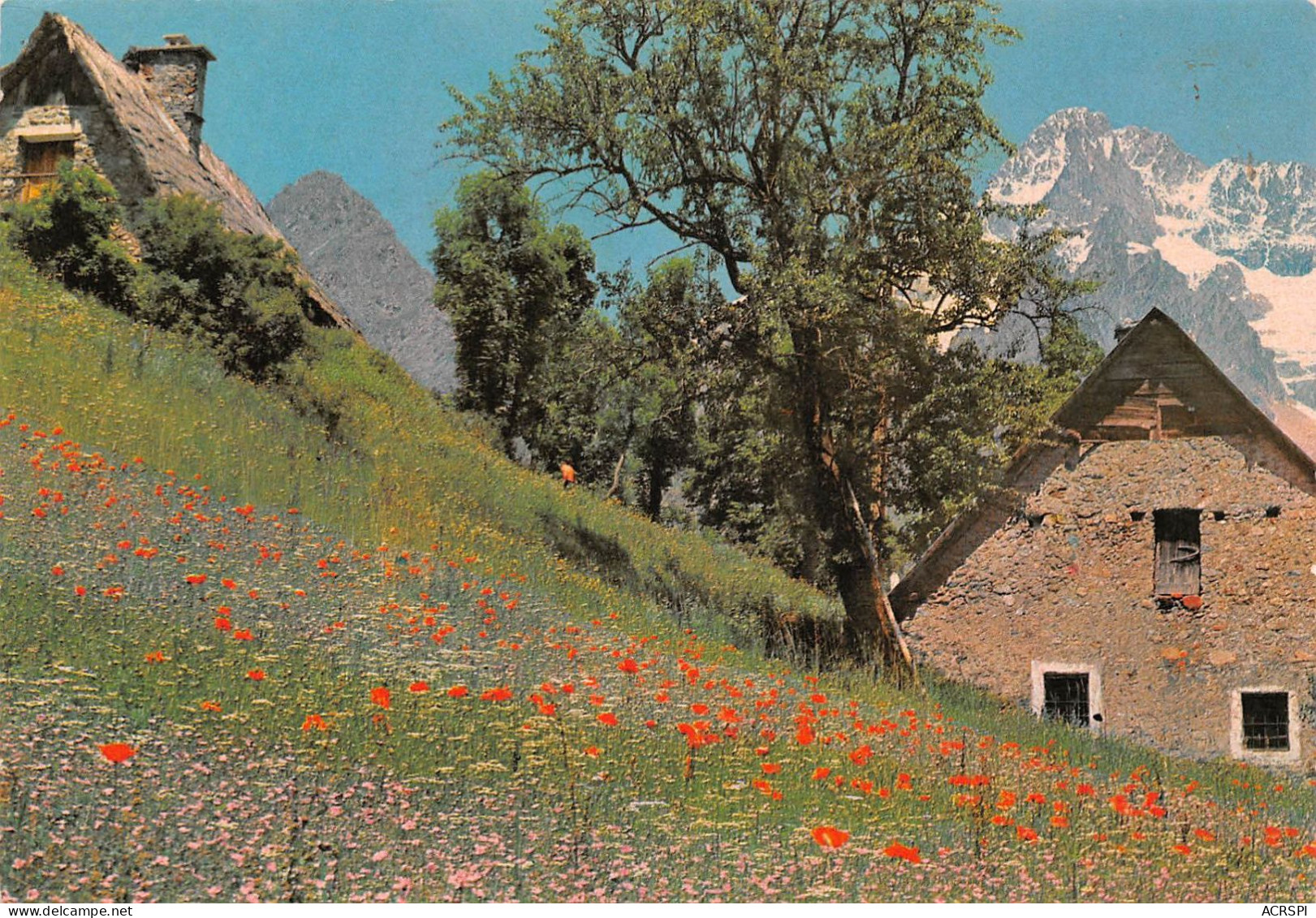 05 La Chapelle-en-Valgaudémar Hameau Des PORTES Au Printemps (Scan R/V) N° 39 \MS9066 - Embrun