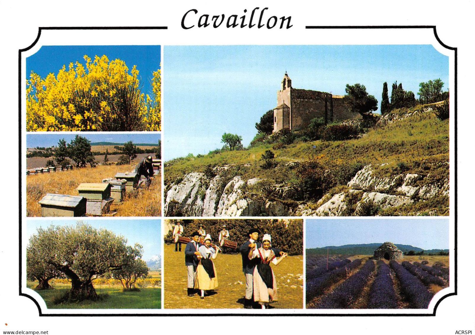 84 CAVAILLON Pays Du Melon (Scan R/V) N° 20 \MS9076 - Cavaillon