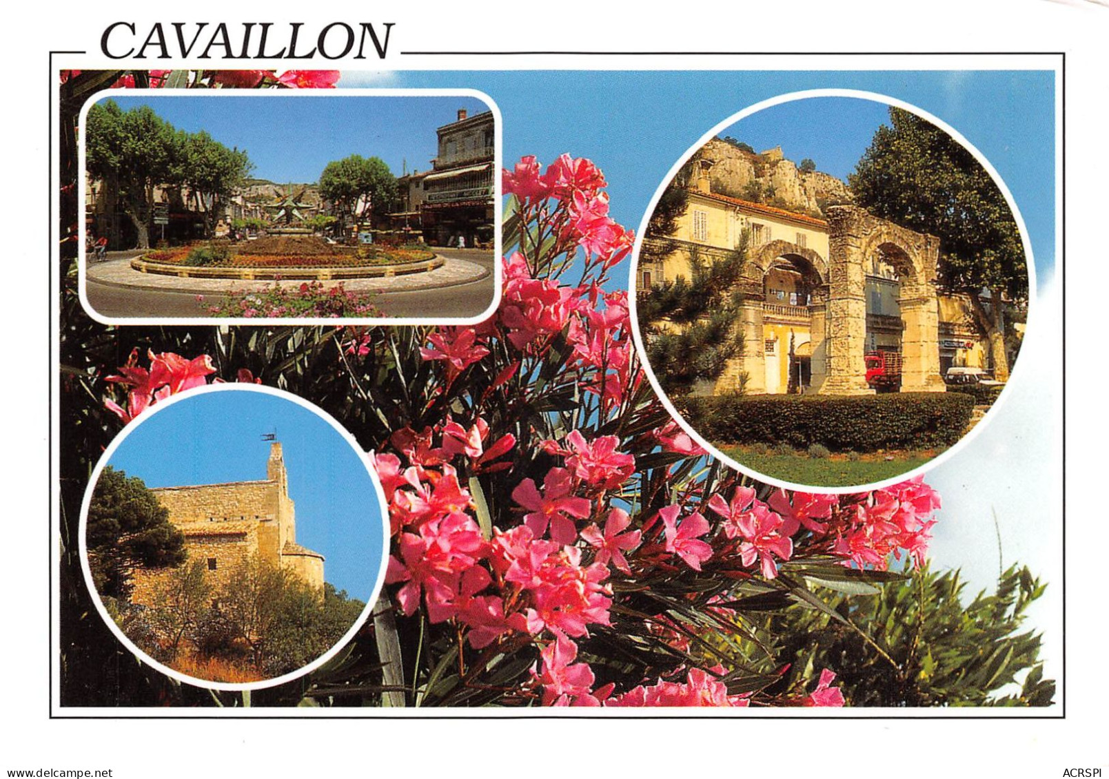 84 CAVAILLON Pays Du Melon Multivue (Scan R/V) N° 21 \MS9076 - Cavaillon