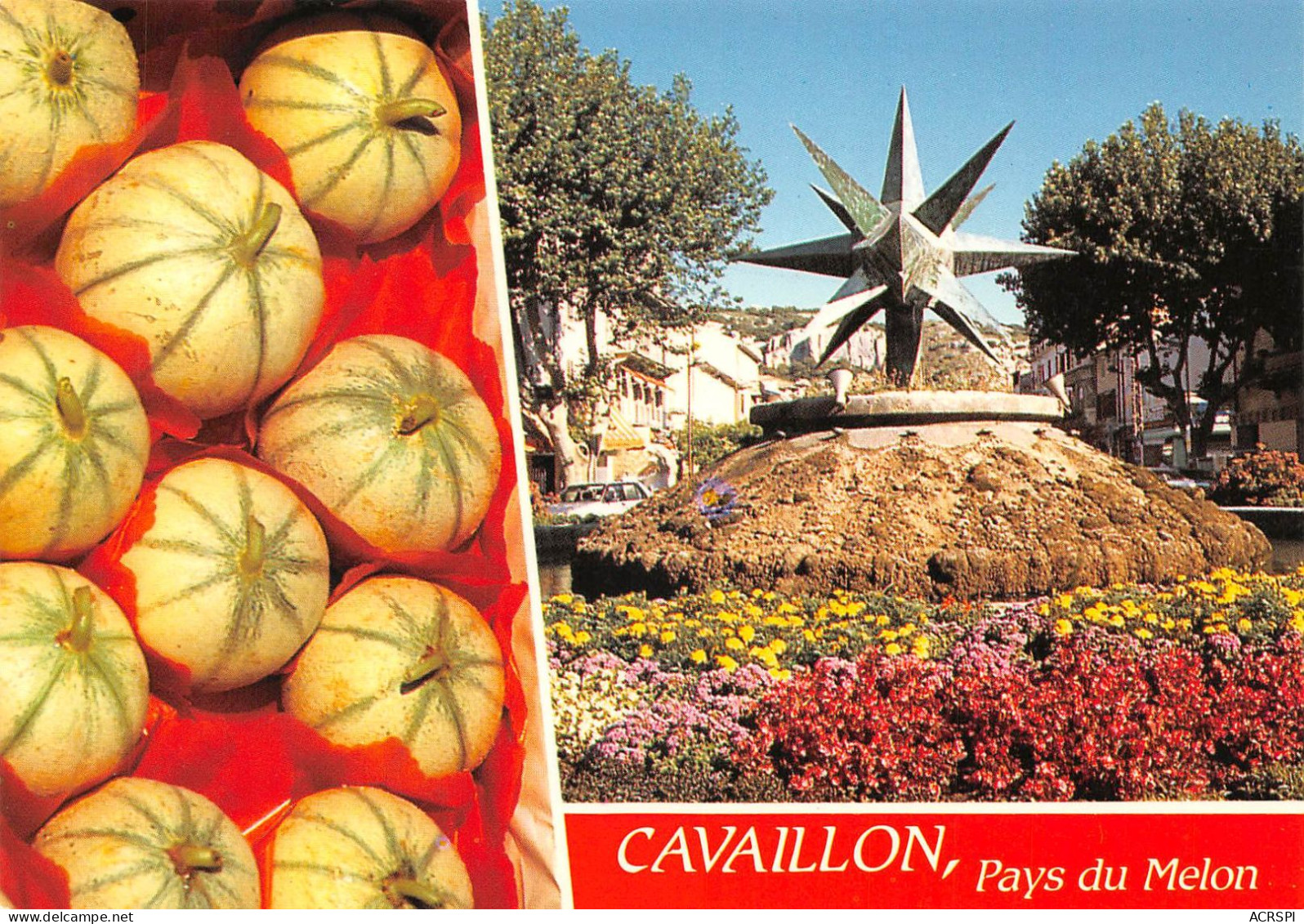 84 CAVAILLON Pays Du Melon (Scan R/V) N° 19 \MS9076 - Cavaillon