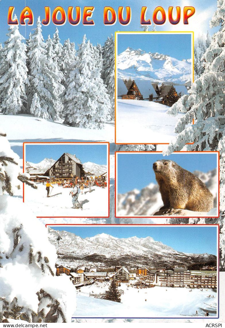 05 La Joue Du Loup Le Dévoluy (Scan R/V) N° 12 \MS9068 - Briancon