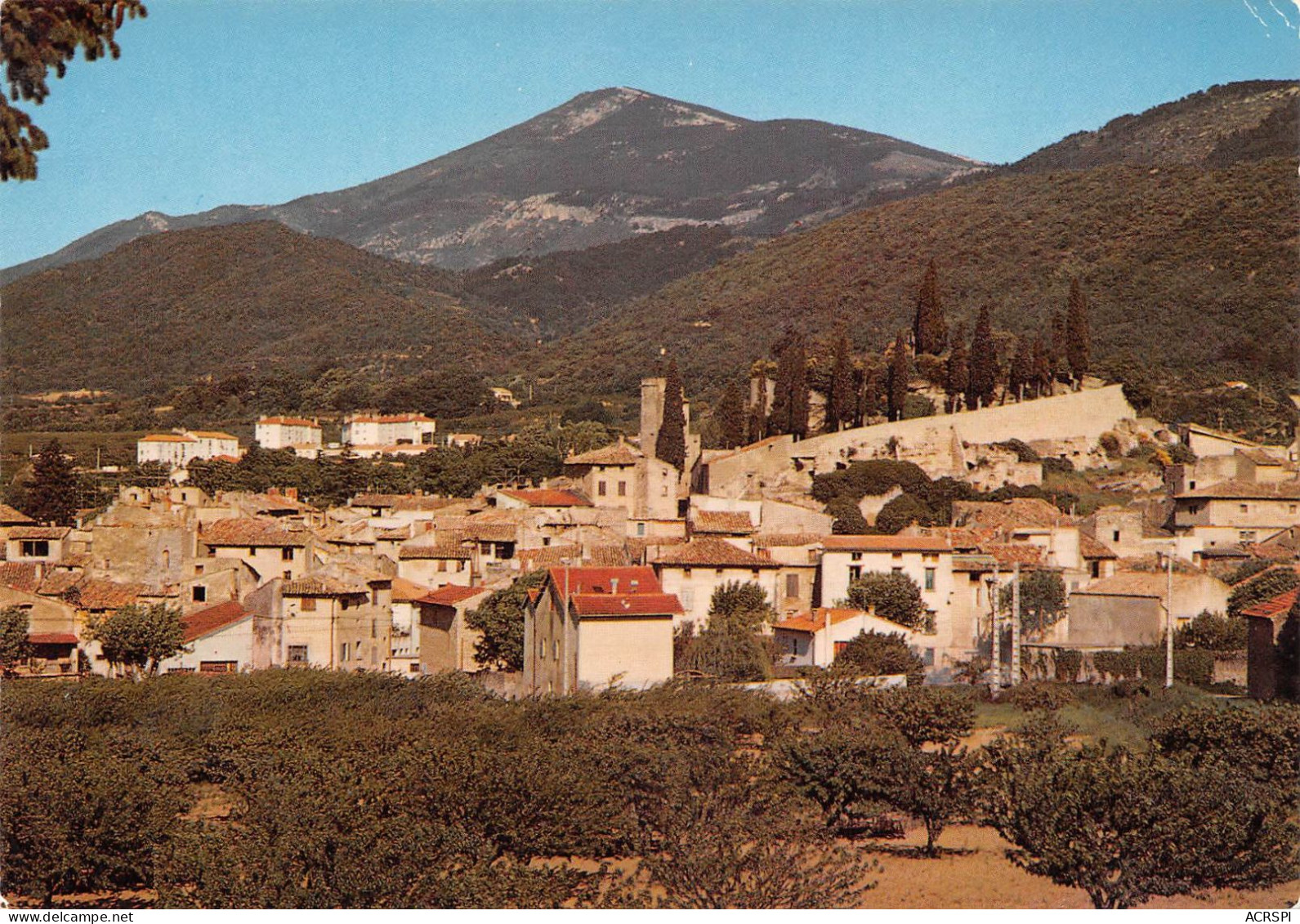 84 Malaucène Vue Générale Panoramique (Scan R/V) N° 13 \MS9080 - Beaumes De Venise