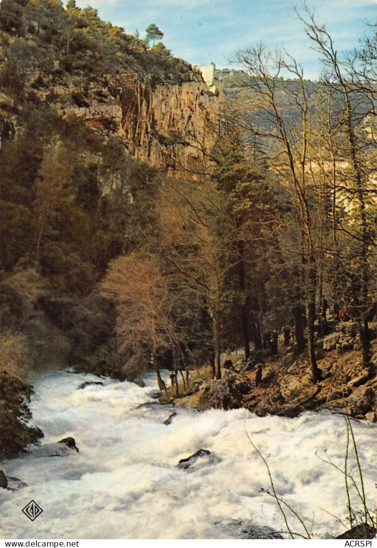 84 Fontaine-de-Vaucluse Le Torrent Tumultueux (Scan R/V) N° 16 \MS9079 - L'Isle Sur Sorgue