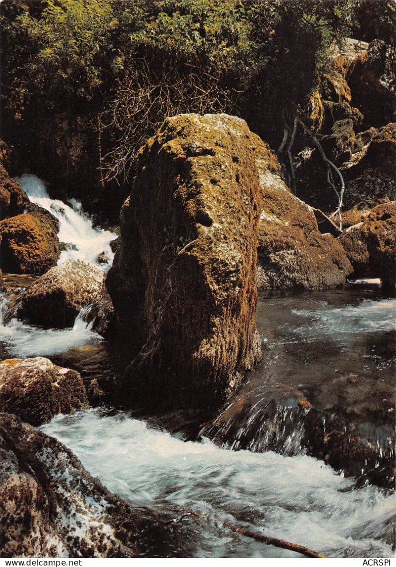 84 Fontaine-de-Vaucluse Le Torrent De La Sorgue (Scan R/V) N° 13 \MS9079 - L'Isle Sur Sorgue