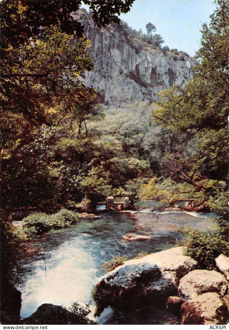 84 Fontaine-de-Vaucluse Les Cascades (Scan R/V) N° 12 \MS9079 - L'Isle Sur Sorgue