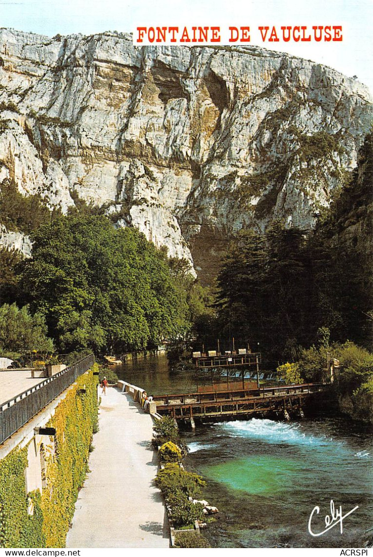 84 Fontaine-de-Vaucluse La Sorgue (Scan R/V) N° 8 \MS9079 - L'Isle Sur Sorgue