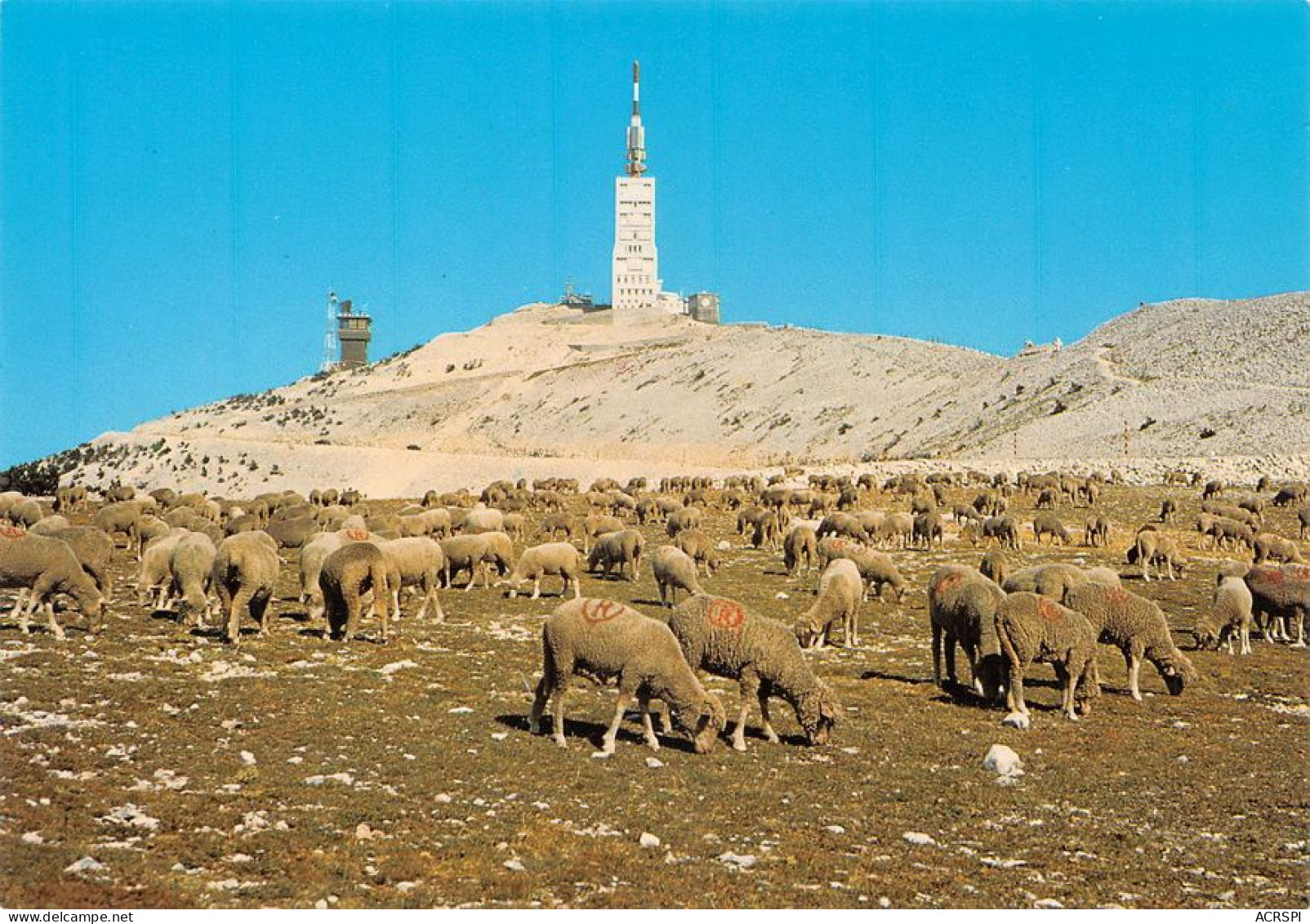 84 Lot De 32 Cartes Du Mont VENTOUX (Scan R/V) N° 1 \MS9078 - Vaison La Romaine