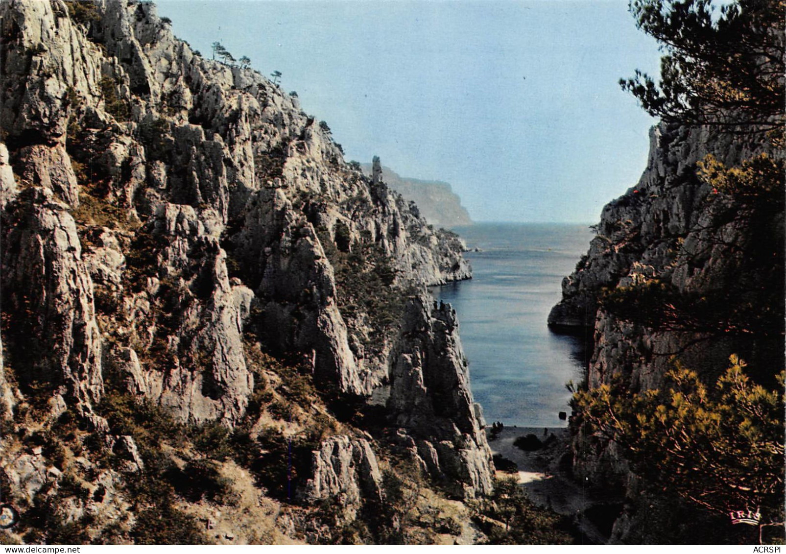 13 CASSIS CALANQUE De EN-VAU (Scan R/V) N° 66 \MS9091 - Cassis