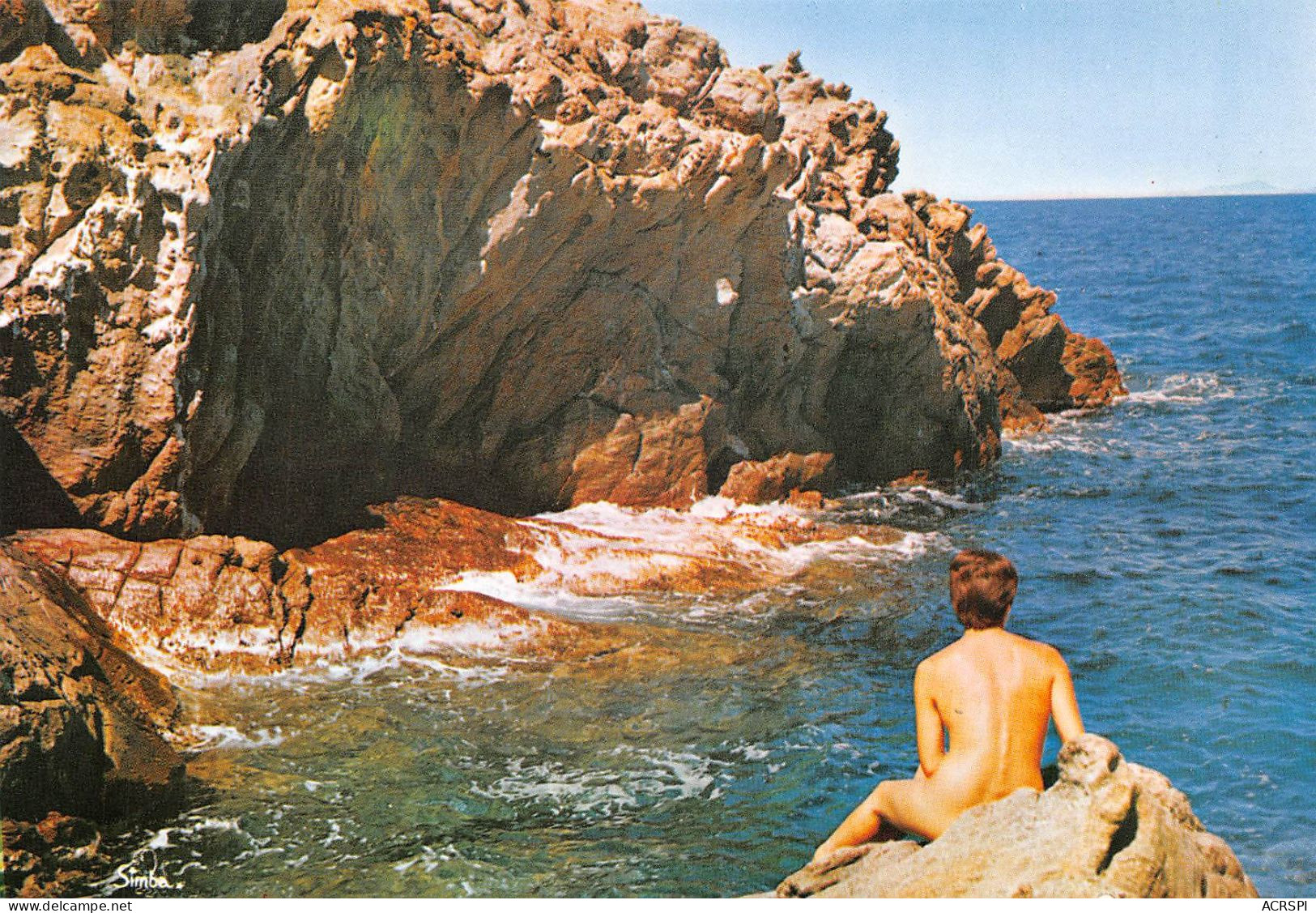 83 Île Du Levant Île à Hyères Jeune Femme (Scan R/V) N° 43 \MS9089 - Hyeres