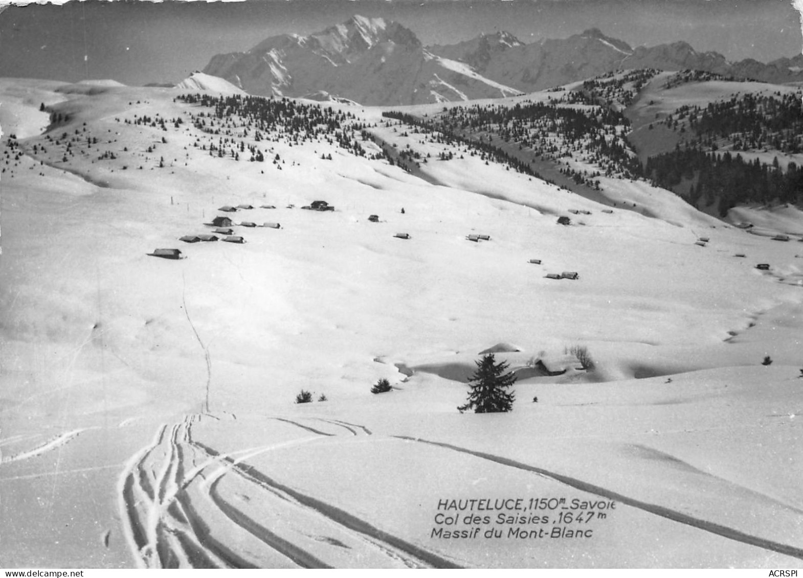 73 Hauteluce Col Des Saisies Pistes De Ski De Fond (scan R/V) 43 \PC1205 - Albertville