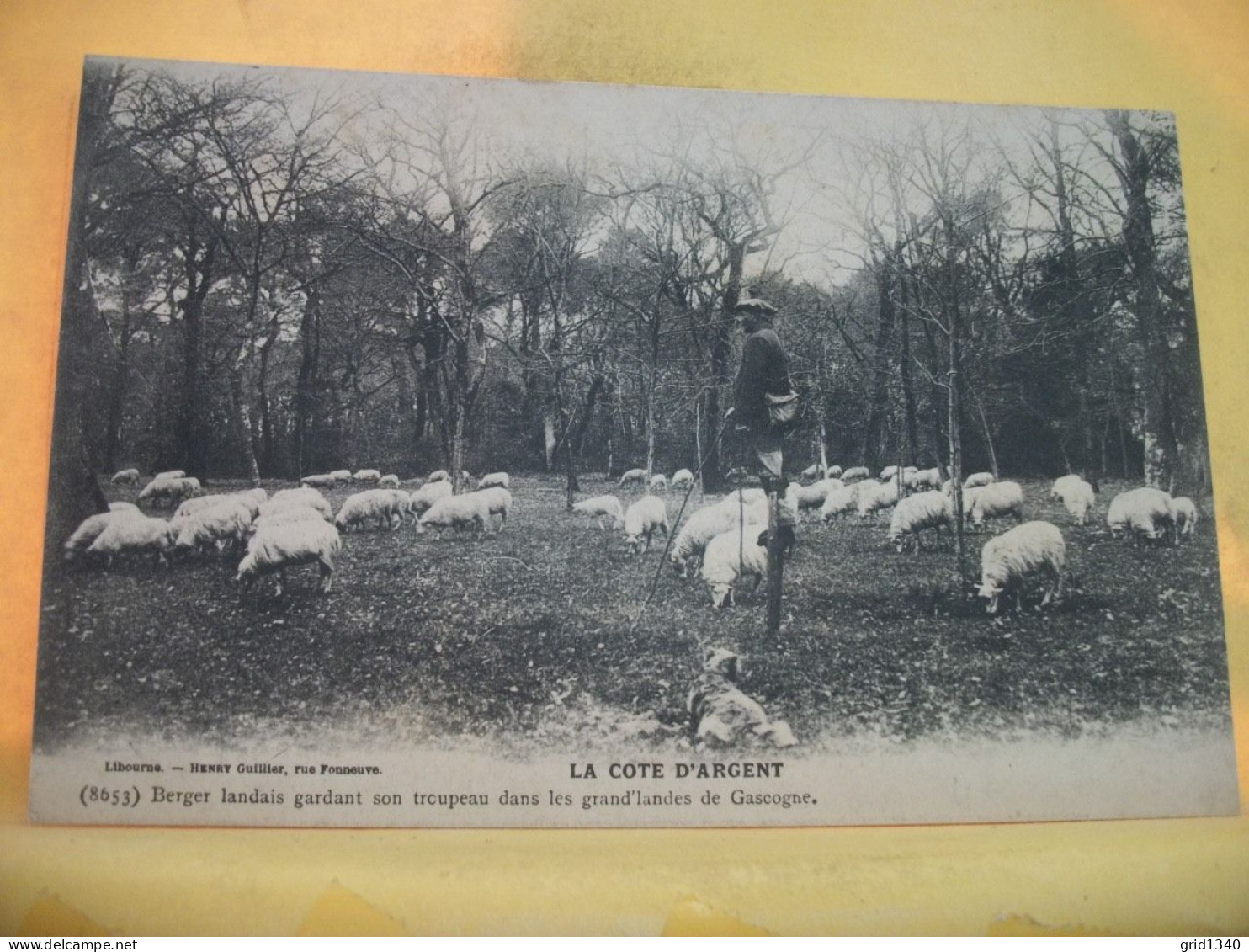 40 3782 LOT N° 6  DE 15 CPA DIFFERENTES SUR  LES BERGERS ET MOUTONS DANS LES LANDES