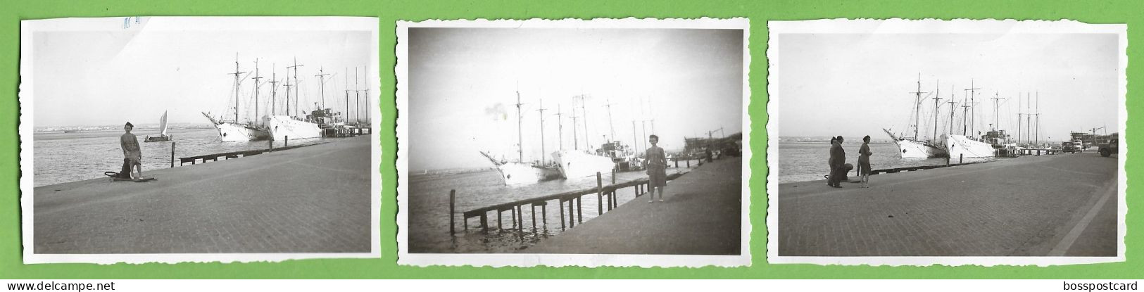 Aveiro - 3 REAL PHOTOS - Barcos Para A Pesca Do Bacalhau, 1958 - Portugal - Aveiro