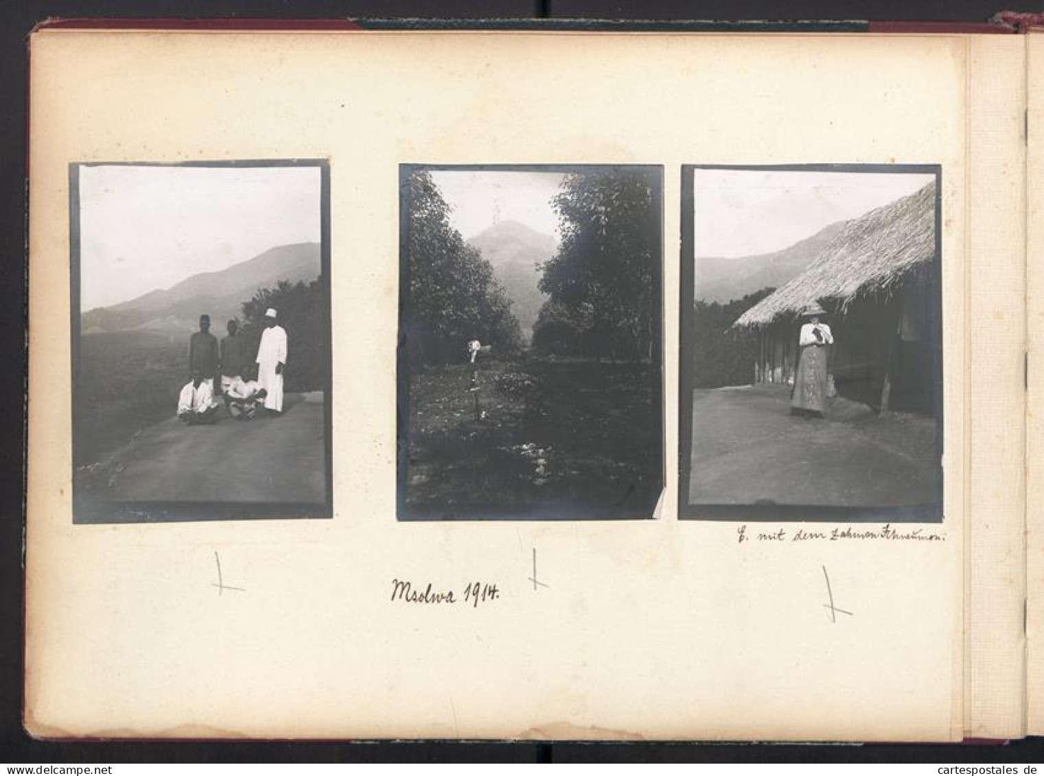 Album Photos Mit 80 Photos,  Vue De Kissauke, DOA, Caraconica Baumwolle Anbau, Lokomobil, Plantage, 1909  - Albums & Collections