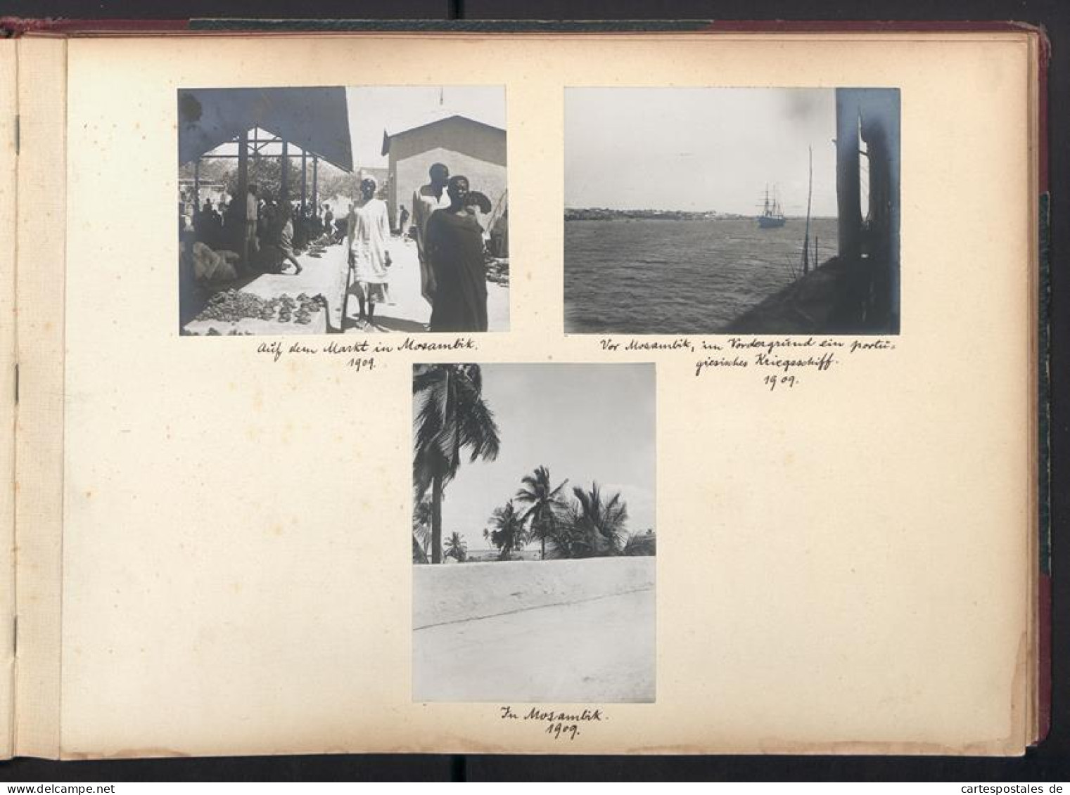 Album Photos Mit 80 Photos,  Vue De Kissauke, DOA, Caraconica Baumwolle Anbau, Lokomobil, Plantage, 1909  - Albums & Verzamelingen