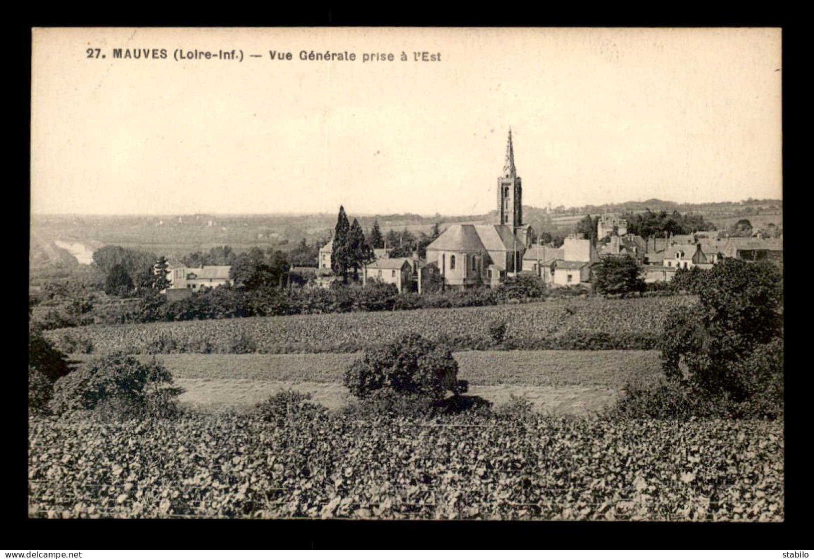 44 - MAUVES - VUE GENERALE EST - Mauves-sur-Loire