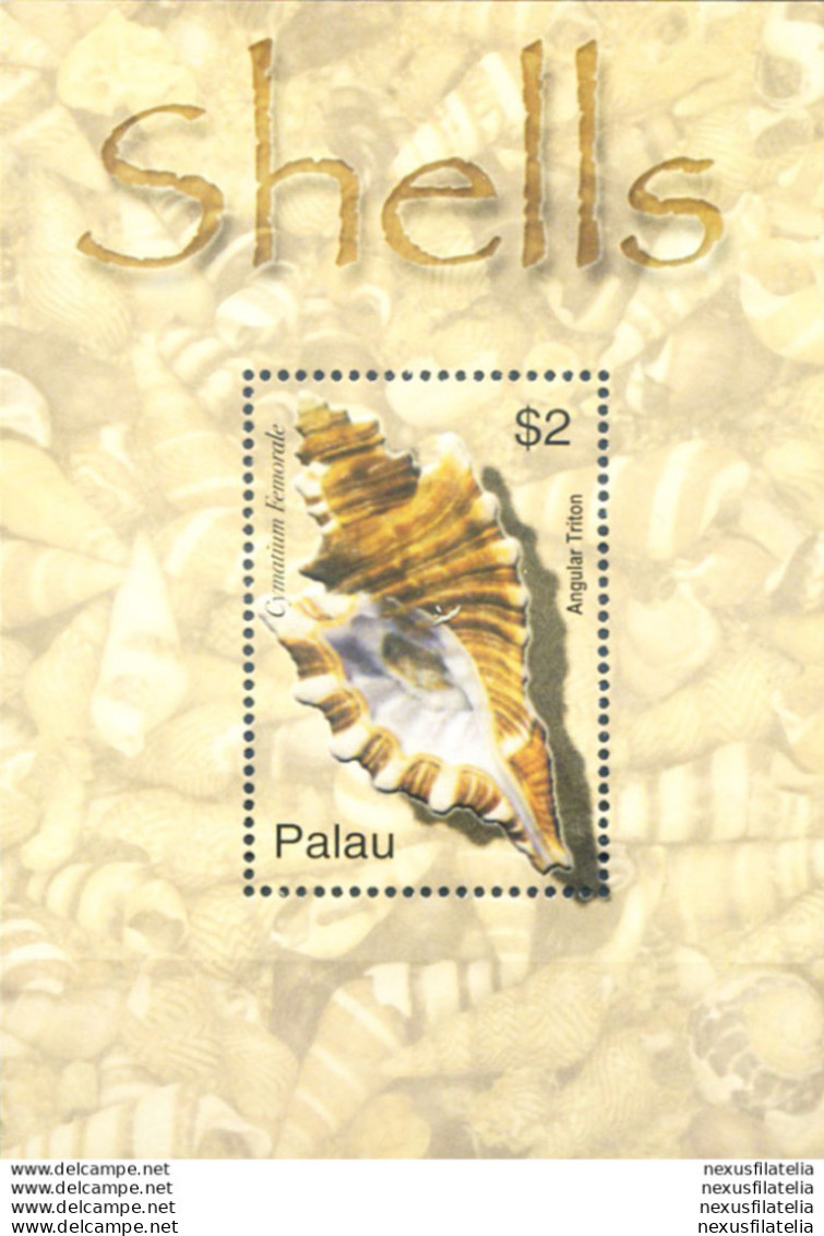 Conchiglie 2003. - Palau